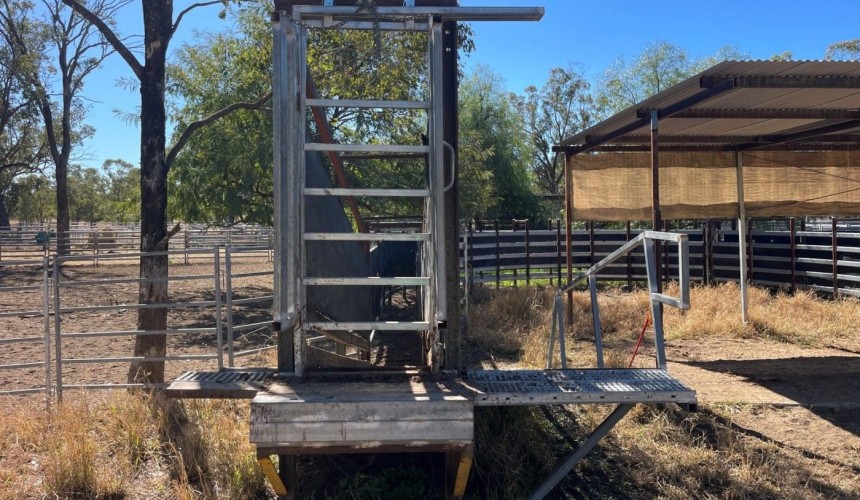 Livestock transport driver crushed by cow has a message for Farm Safety Week