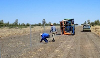 Where are wild dog fences and are they working?