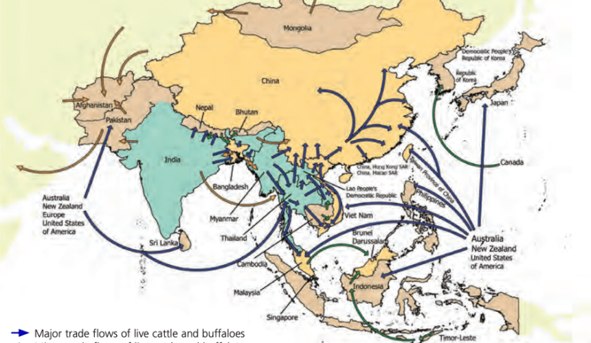SE Asia Report: Policy moving faster than cattle in Southeast Asia