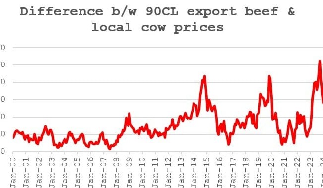 Regional markets wrap: Some different shapes emerging in cattle markets