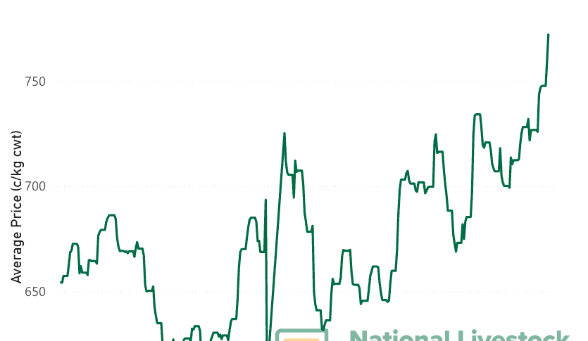 EYCI cracks 750c as big numbers continue to flow from the north