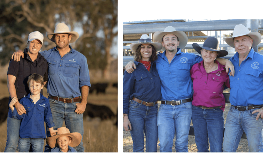 New owners secure iconic Palgrove Charolais herd