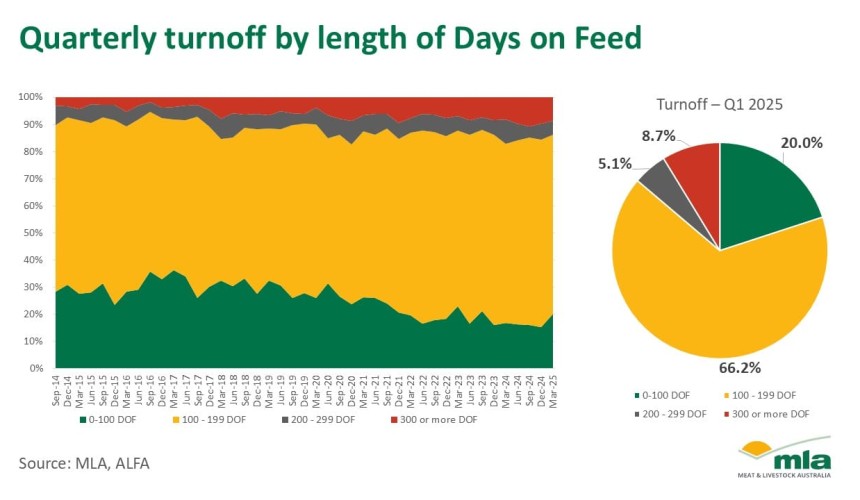 Segmented days-on-feed data adds value to quarterly feedlot industry surveys