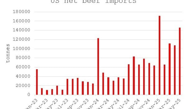 Regional livestock markets wrap: Cattle prices start to grind higher, US market faces challenges