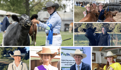 Paddock to podium: meet Australia’s top young beef cattle judges