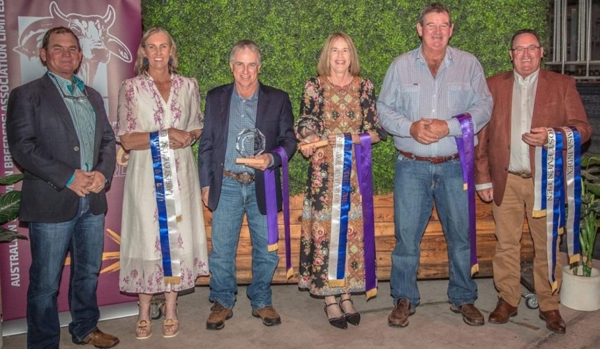 Large-scale steer trial shows other for options marketing Brahman feeder cattle