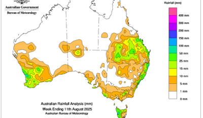 Weekly rainfall update + rainfall outlook 11 August 2025