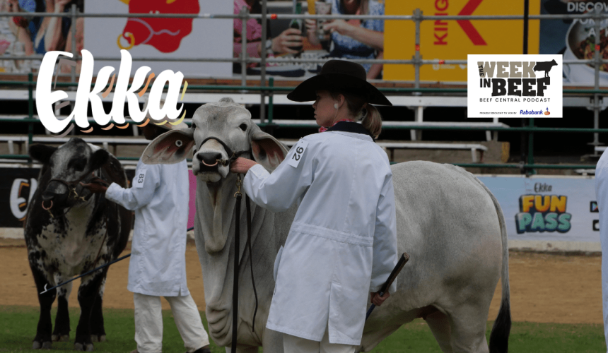 The Week in Beef podcast: Optimism at the Ekka