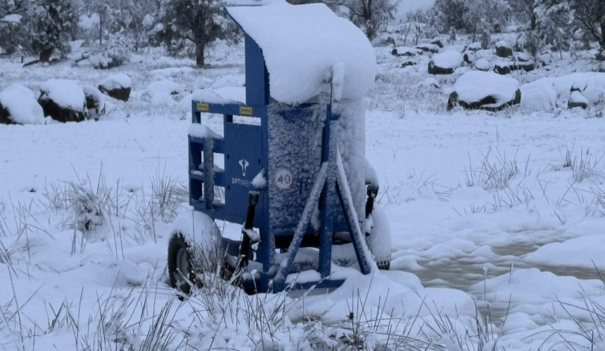 In field weighing system reveals real-time impact snow had on cattle weightgain
