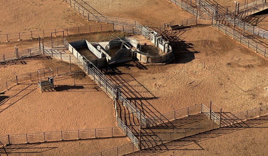 Why this Kimberley cattle station put $900k into new yards + PICTURES