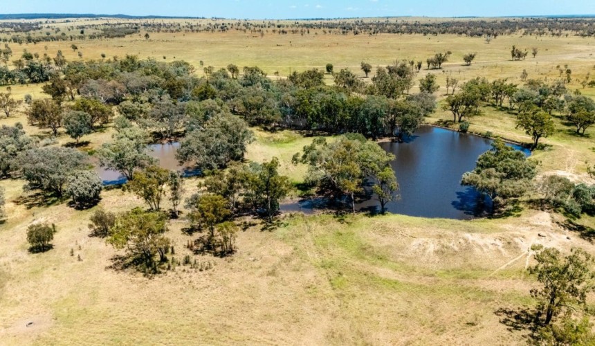 Hughes Grazing secures central western Qld’s Taylors Plains in $66m deal