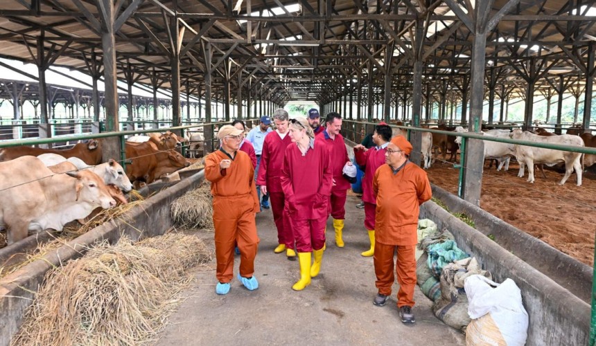 Australian Ag Minister Julie Collins visits Indonesian feedlot