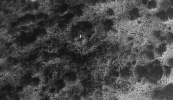 Night-vision drone used for muster mop-up on ACC’s Moray Downs