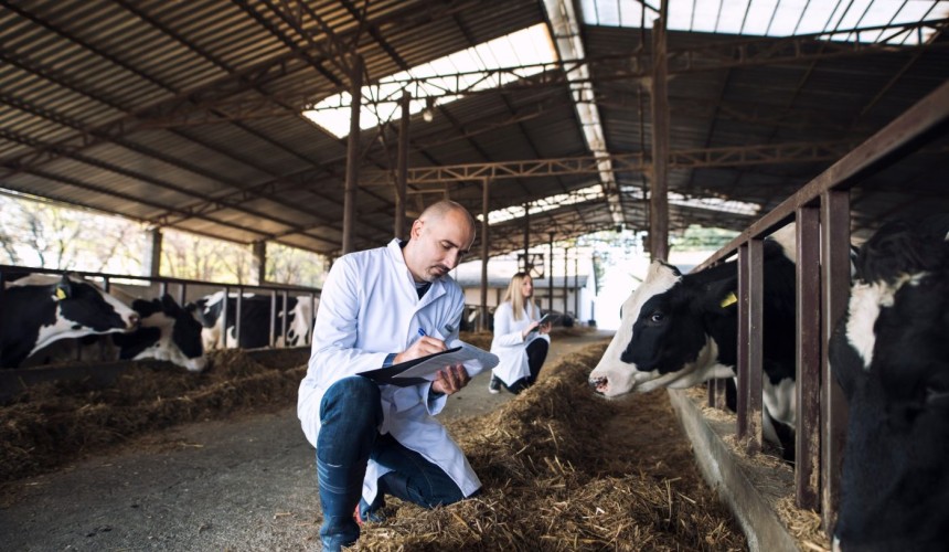 How do mRNA animal vaccines work, and would they be deployed in a biosecurity emergency?