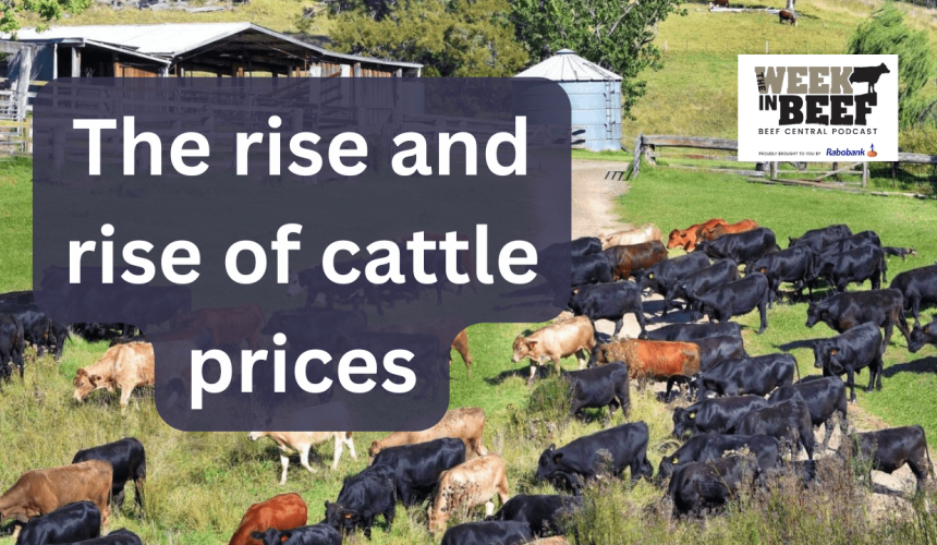 Week in Beef: Southern restockers drive market, debate over deforestation, locusts swarm