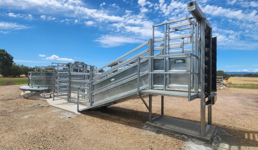 Should producers have to pay to access a livestock ramp safety standard?