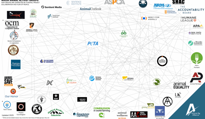 New reports highlight increased funding, key trends in animal activist community
