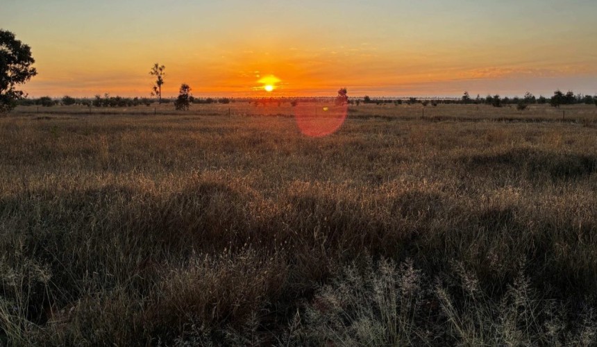Movement at the Station: recent property listings in Queensland