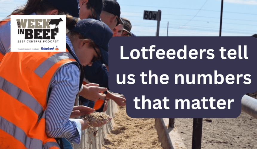 Week in Beef: Lotfeeders give numbers of the week, grey area in producer transport duties