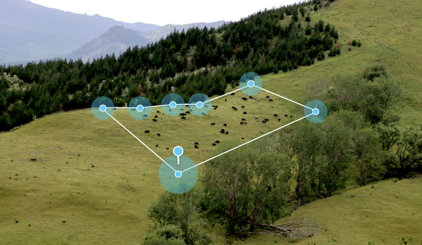 RSPCA promotes development of code of conduct for virtual fencing