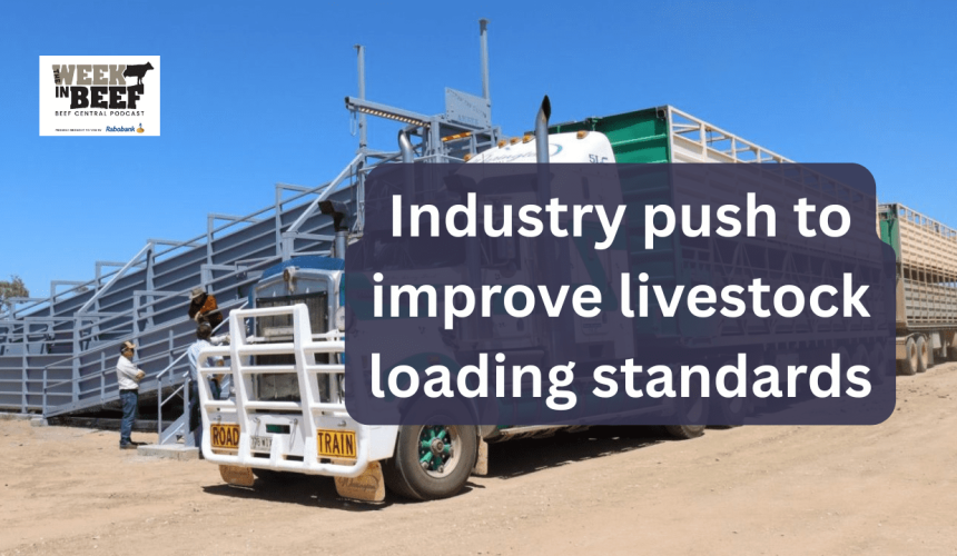 Week in Beef: Revolutionary cattle ramp, ag staff sacked, ticks on the move
