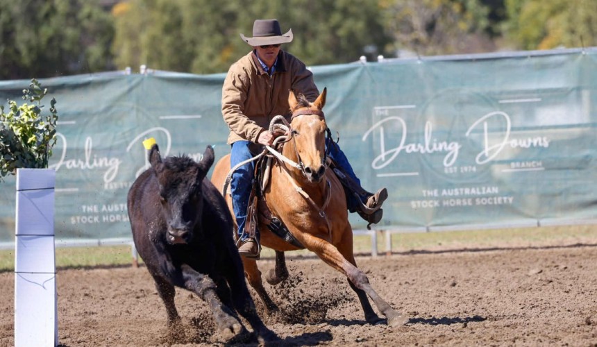 Feedlot Community Campdraft draws big crowd, strong competition + Photos
