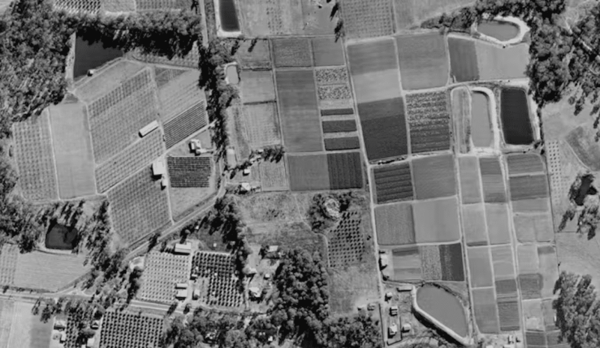 Sydney once produced its own food – but urban development has devoured the city’s food bowl