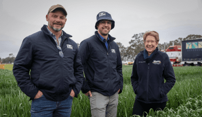 Feedgrain Focus: Cereal sales slow despite pulse tumble