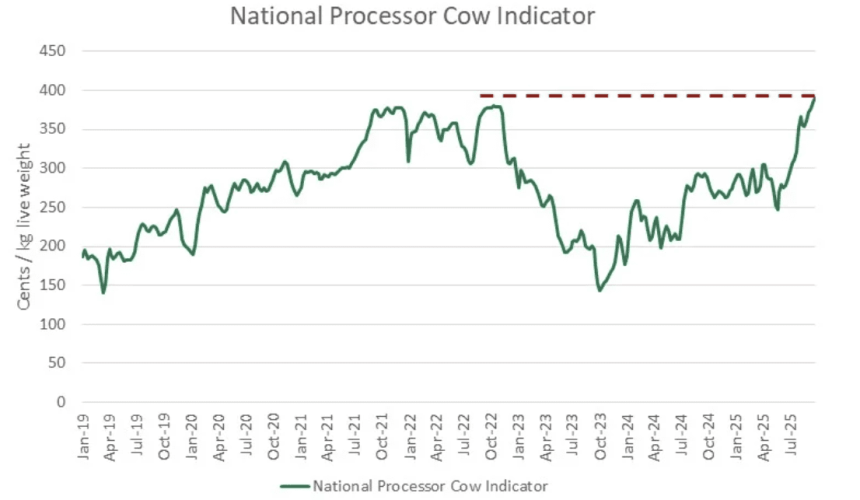 How current record cow prices differ to 2022