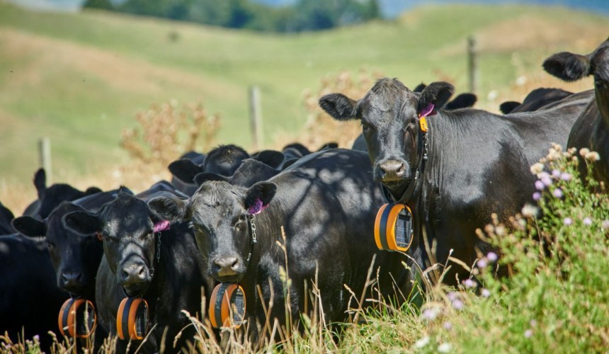 Two states approve virtual fencing for commercial use