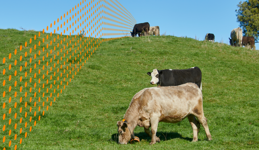Why virtual fencing is starting to take off in Australia