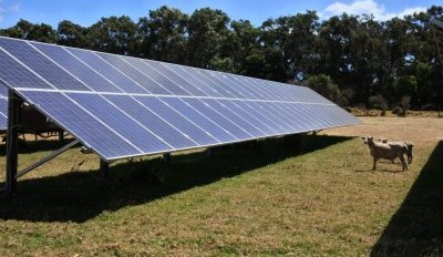 From Paddock to Power: Big leap in low-emissions ag