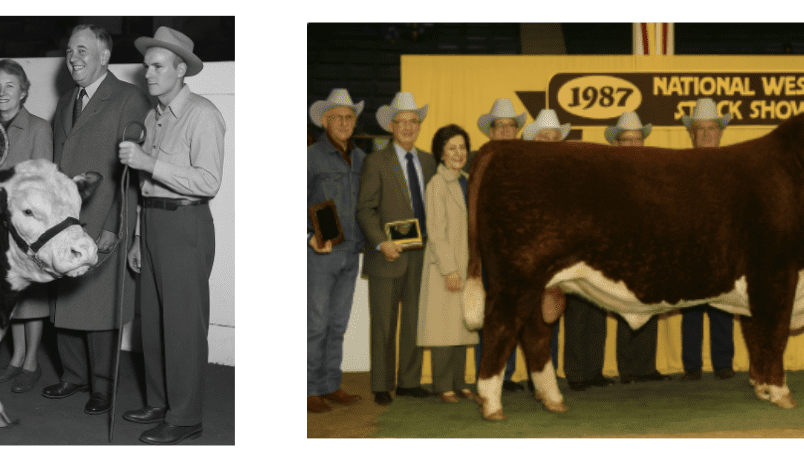 Weekly genetics review: Avoiding the fads in cattle breeding