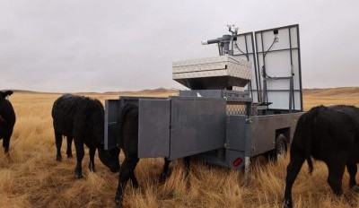C-Lock brings world-leading precision livestock management tools to Australia