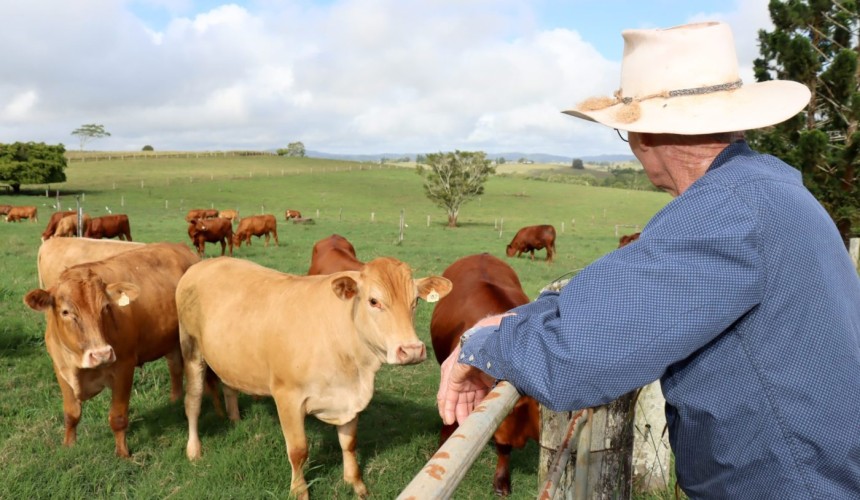 Producer intentions survey: Confidence to drive herd growth in 2026