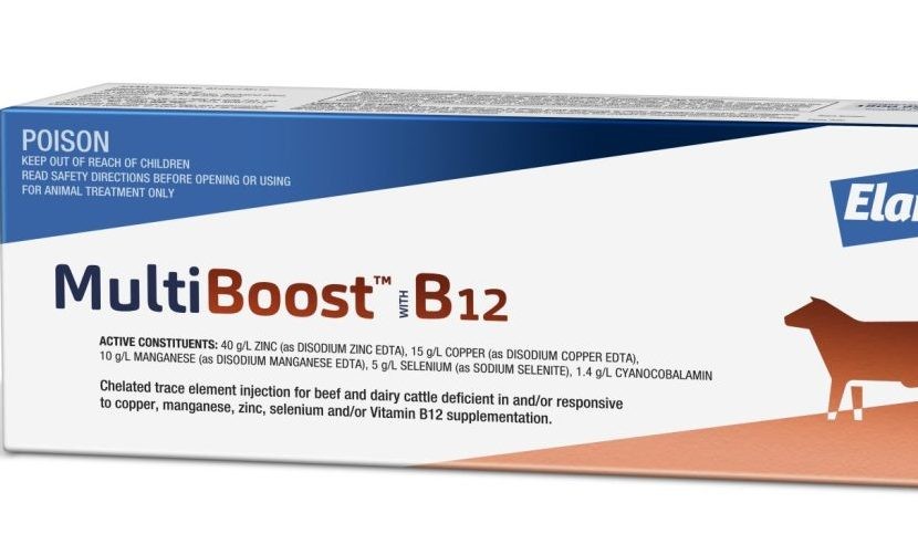 Get the full benefit of mineral supplementation