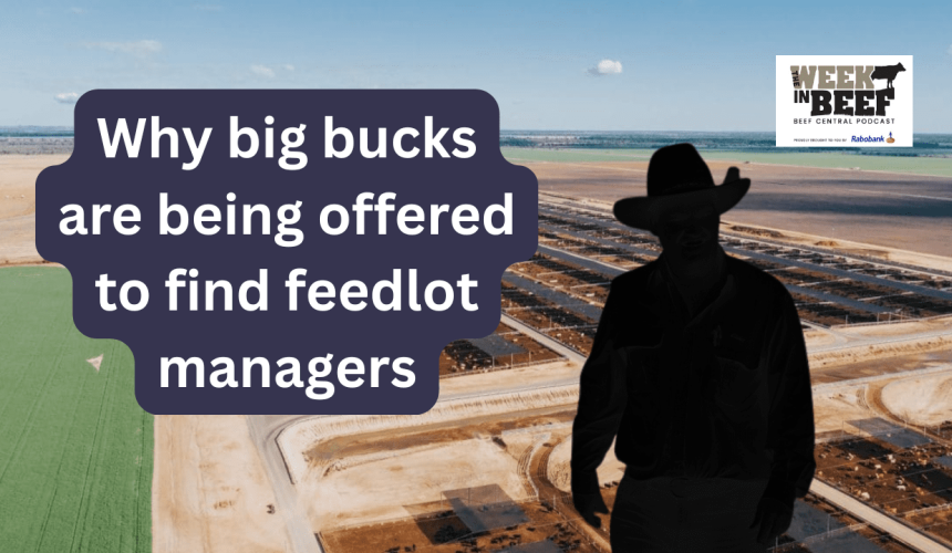 Week in Beef: Cattle market changing | $250k feedlot manager | why not beef for Christmas?