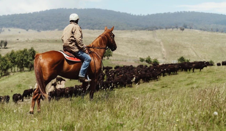 Bids around $55m expected for Victorian Highlands’ property Cobungra  