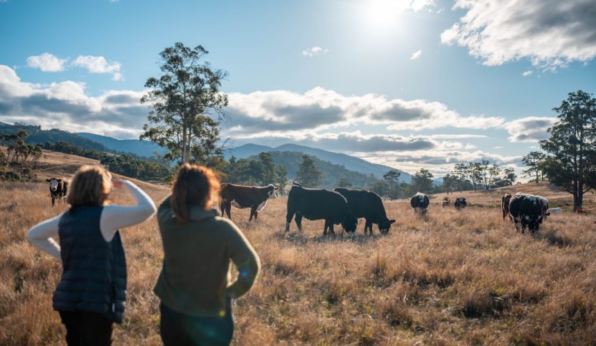 ‘Agrarian pragmatics’: New study amplifies rural women’s voices