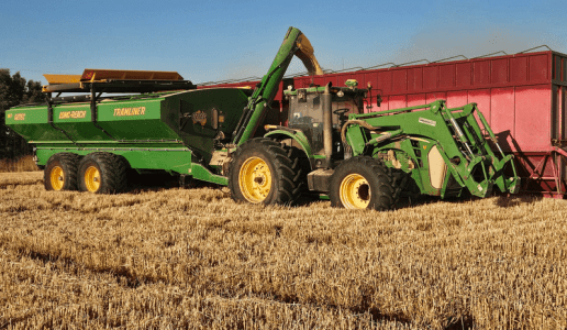 Feedgrain Focus: Prices firm on southern dry
