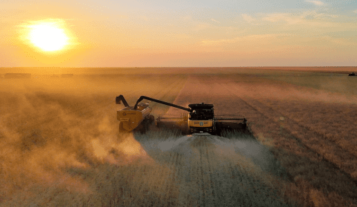 Feedgrain Focus: Southern rain bolsters yields in later crops