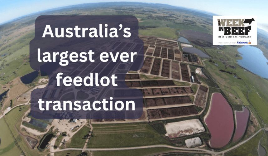 Week in Beef: Giant feedlot sale | Healthy consumers go for beef | The rise of King River