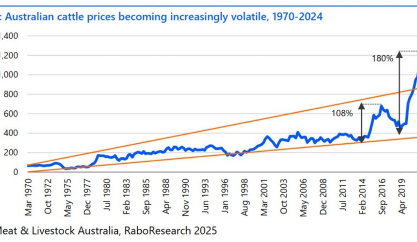 Aussie cattle markets becoming increasingly volatile, suggests industry report