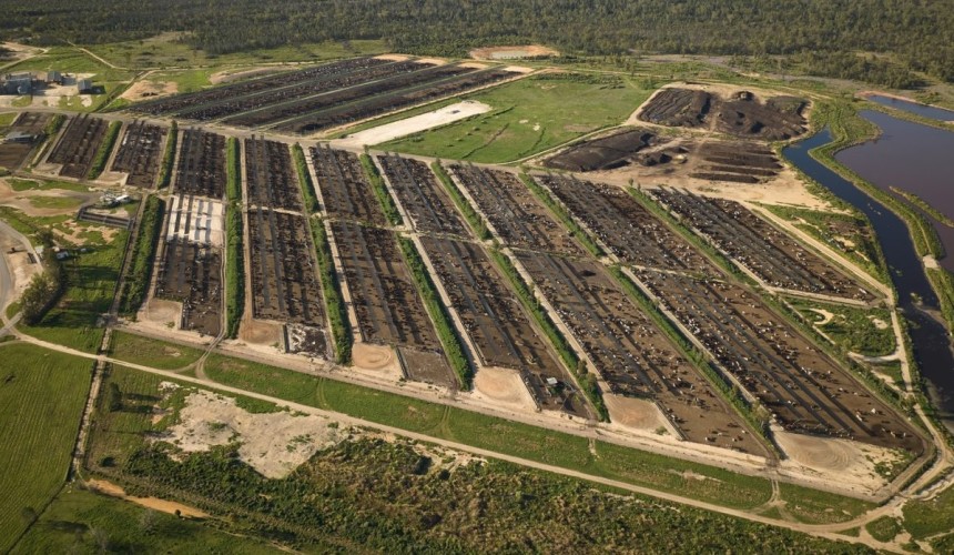 Yarranbrook feedlot purchase marks major expansion phase for Allied Beef
