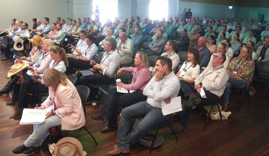 Cattle Connect hits stride as national beef industry forum + PICS