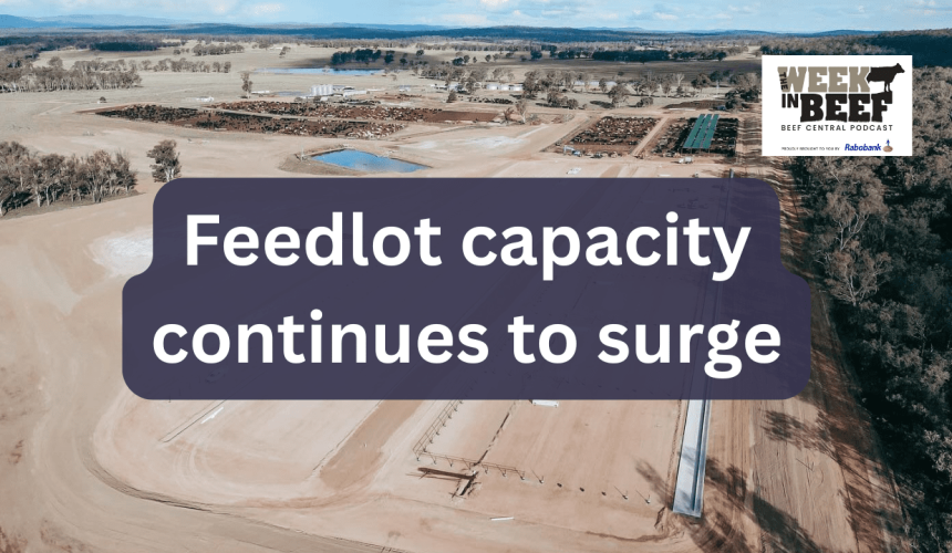 Week in Beef: Why feedlots are expanding | Northern abattoir sold | Soil carbon builds