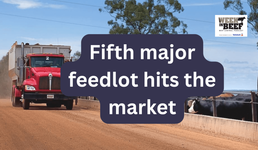 Week in Beef: Soldier’s lifesaving grazing journey | AA Co’s profit lifts | Another major feedlot sale