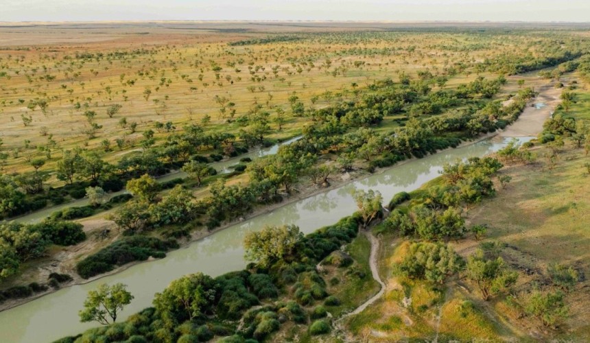 Channel Country’s enormous Nappa Merrie hits the market