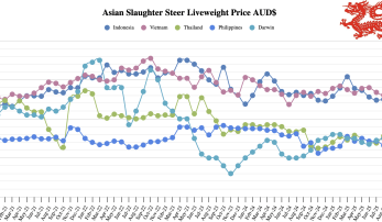 SE Asia Report: Indonesia’s shrinking herd underscores rising reliance on Australian live cattle