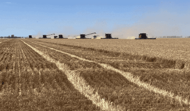 Feedgrain Focus: Northern harvest cranking, south slow